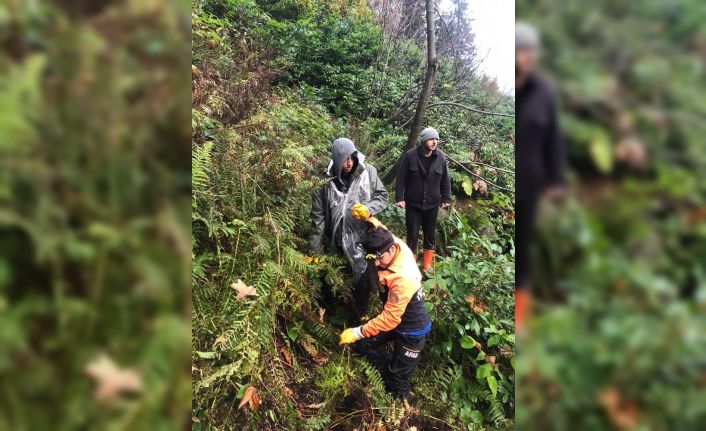 Yaban mersini toplamaya gitmişlerdi bu sabah bulundular