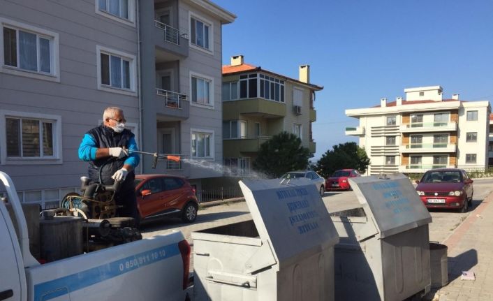 Ayvalık’ta çam ağaçları ve çöp konteynerleri ilaçlandı