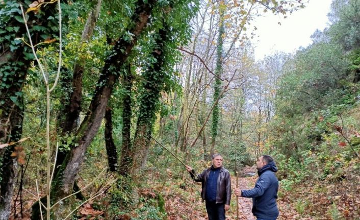 Başkan Erdoğan, trekking yolunu inceledi