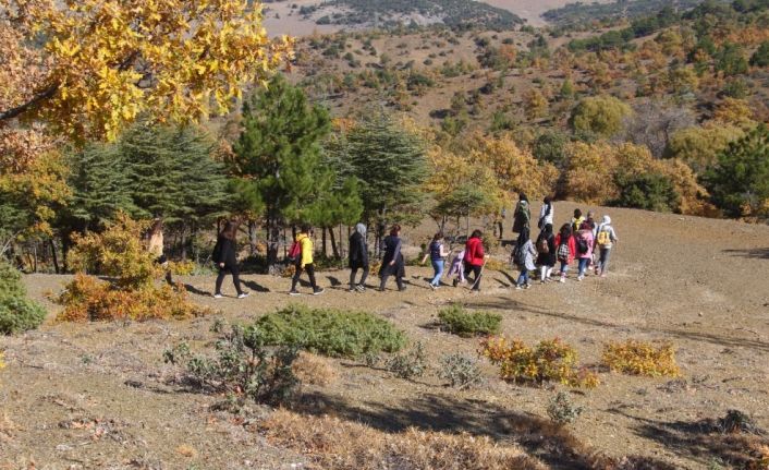 Beyşehir Gölü Milli Parkı sonbaharda doğa tutkunlarını hayran bırakıyor