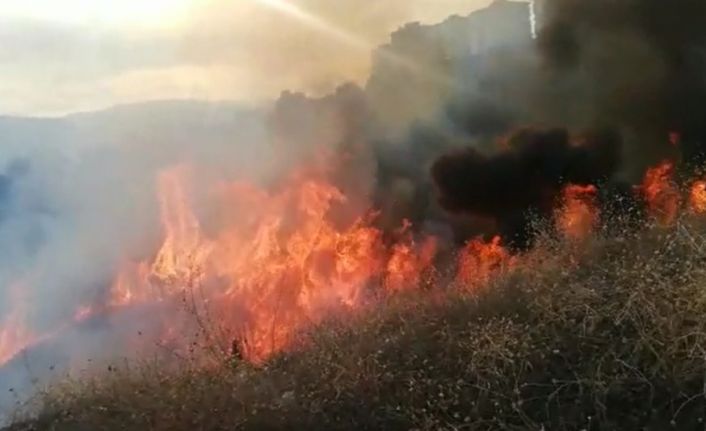 Bilecik’te makilik alanda yangın