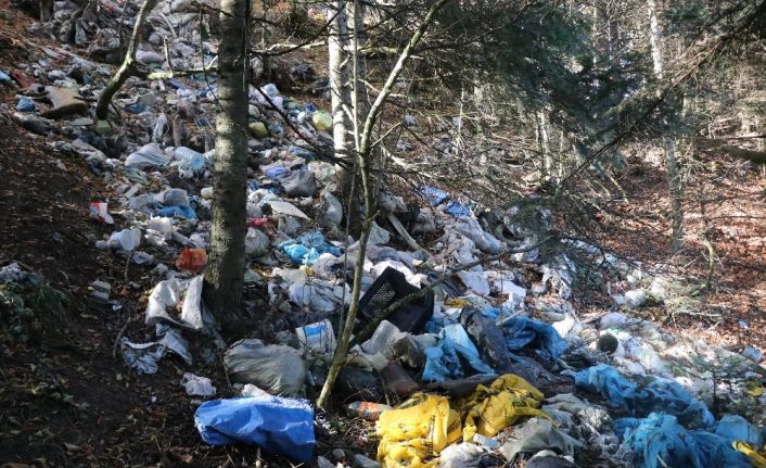 Bolu’da ormanlara atılan çöpler doğal hayatı tehdit ediyor