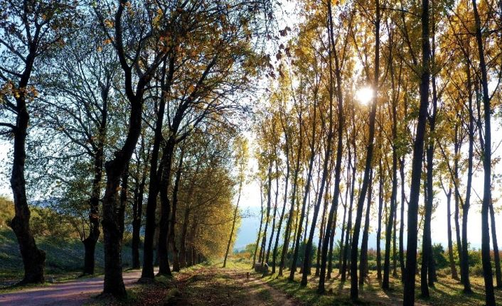 Bu yoldan geçen bir daha geliyor