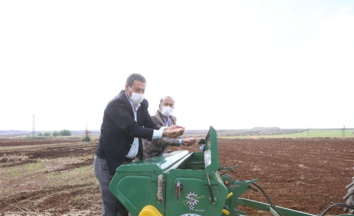 Büyükşehir sertifikalı tohum üretimine devam ediyor