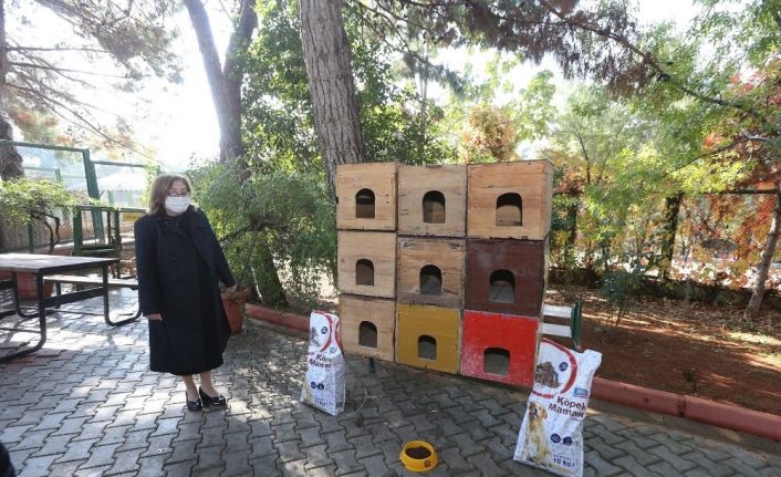 Büyükşehir, sokak hayvanlarının tedavisi için önemli bir çalışma başlattı