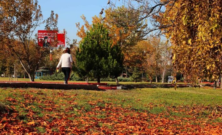 Çankaya parklarında sonbahar keyfi