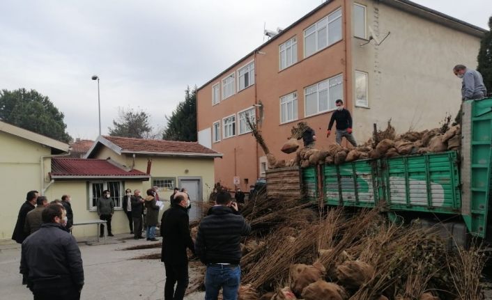 Çiftçilere fındık fidanı dağıtımı yapıldı