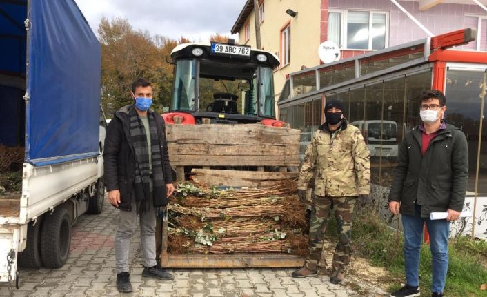 Demirkzöy’de ahududu fidanları dağıtıldı