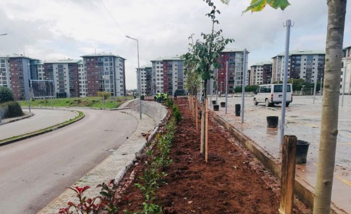 Ekipler yeşil Körfez için çalışmalarını sürdürüyor