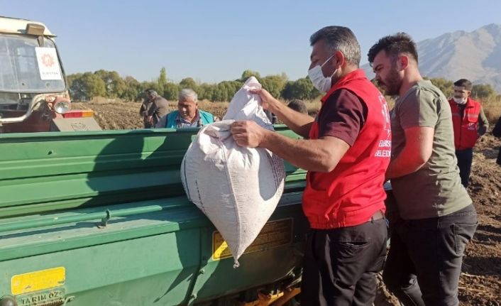 Elbistan Belediyesi, ata mirası siyez buğdayı üretecek