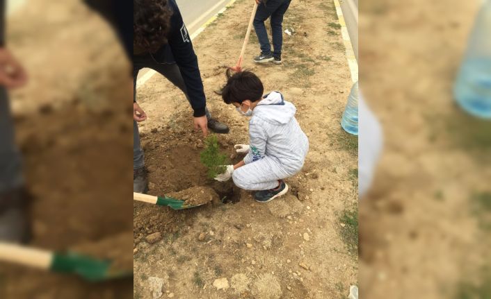 Gercüş’te Ağaçlar Kitaplarla Büyüyor Projesi başladı