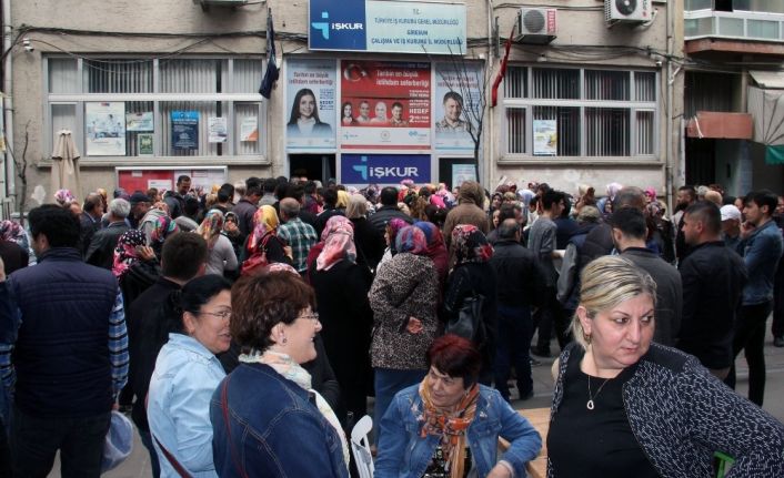 Giresun’da 24 bin 597 iş başvurusu yapıldı