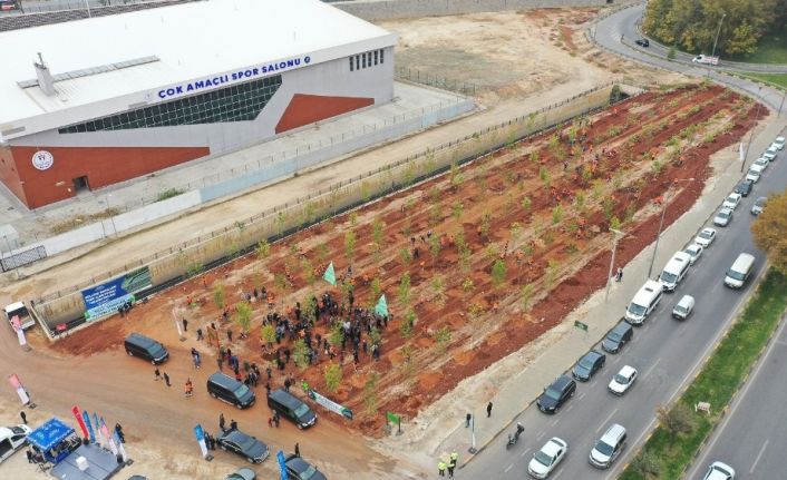 Göllüce’ye orman, Yalangoz’a lavanta bahçesi