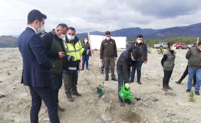 Hanönü’nde 10 bin 10 fidan toprakla buluştu