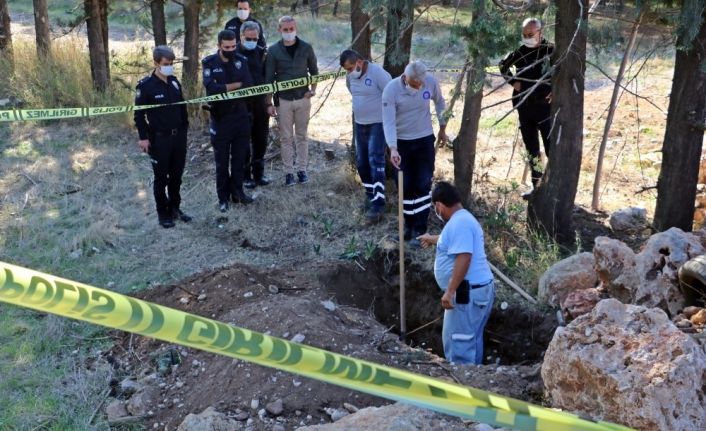 Hastalanınca uyutulup gömülen Çin Aslanı cinsi köpek polisi alarma geçirdi