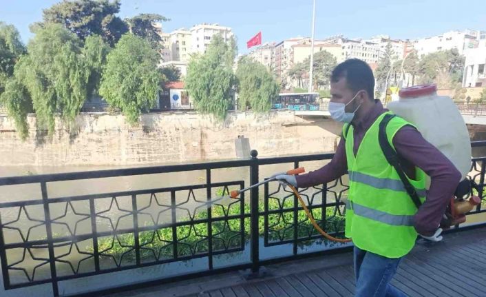 Hatay’ın 15 ilçesinde dezenfeksiyon çalışması