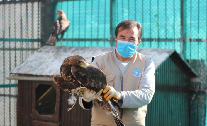 Hayvanat bahçesinde kış hazırlıkları başladı