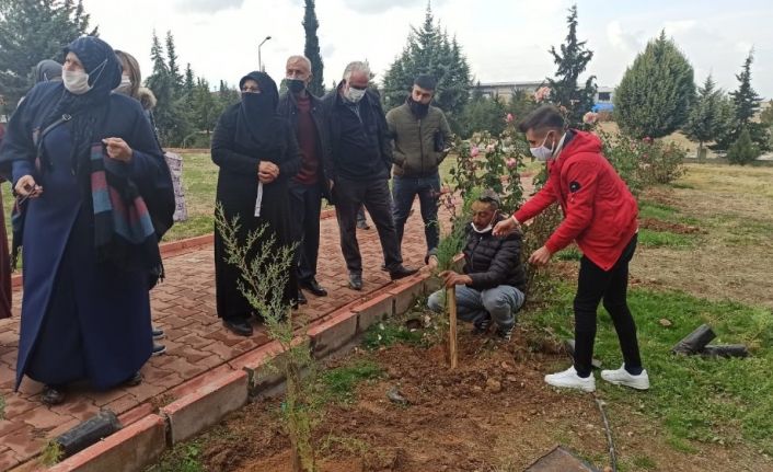 Her şehit için bir fidan toprakla buluşturuldu