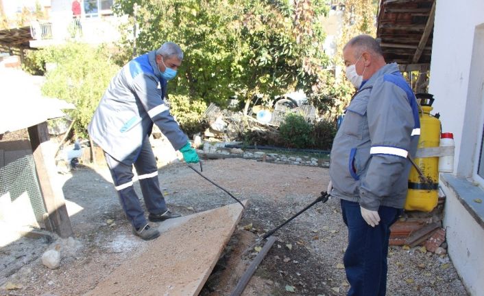 İlçelerde sinekle mücadele sürüyor