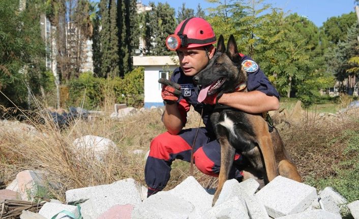 İnsan dostu köpekler zor günler için eğitiliyor