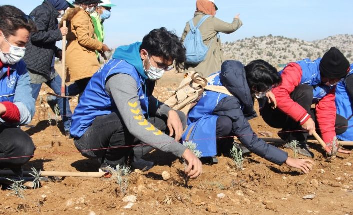 Isparta’da 20 bin fidan toprakla buluşturuldu