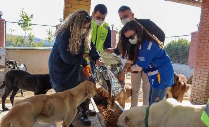 İzmir’deki can dostlar da unutulmadı