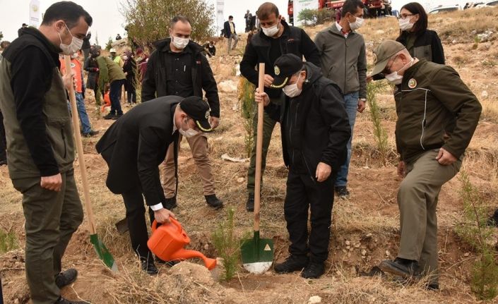 Karaman’da ağaçlandırma gününde 10 bin fidan toprakla buluştu