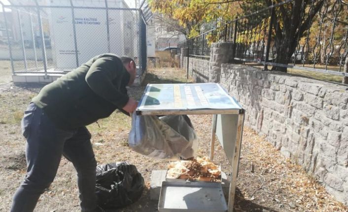 Kars’ta belediye sokak hayvanlarını unutmadı