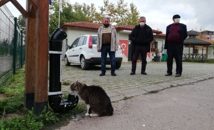 Kartepe’nin sevimli dostlarına yeni kaplar