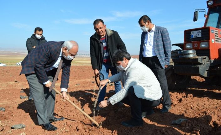 Kırıkkale’de ’KOP ile Sürdürülebilir Küçükbaş Hayvancılık’ projesi