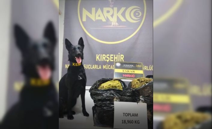 Kırşehir’de uyuşturucu operasyonu uyuşturucu köpeği 19 kilogram uyuşturucu buldu