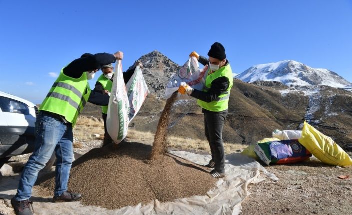 Konyaaltı’nda meralar tohumla zenginleştiriliyor