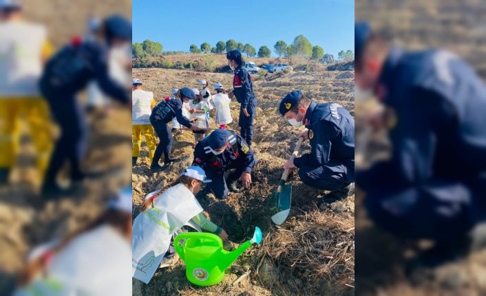 Kuşadası’nda 250 adet fidan dağıtımı yapıldı