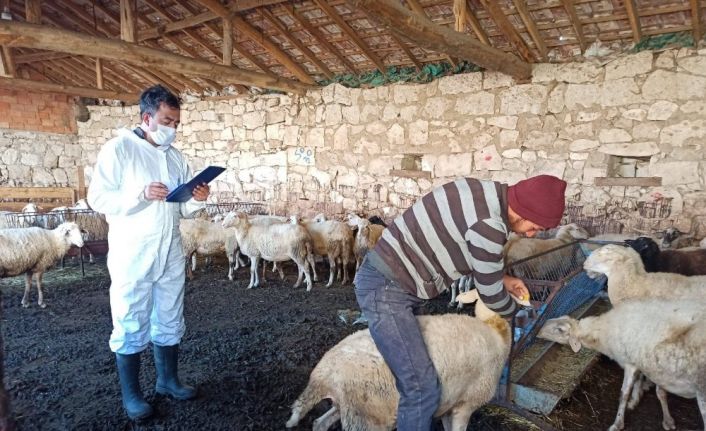 Kütahya’da ’Halk Elinde Küçükbaş Hayvan Islahı’ projesi