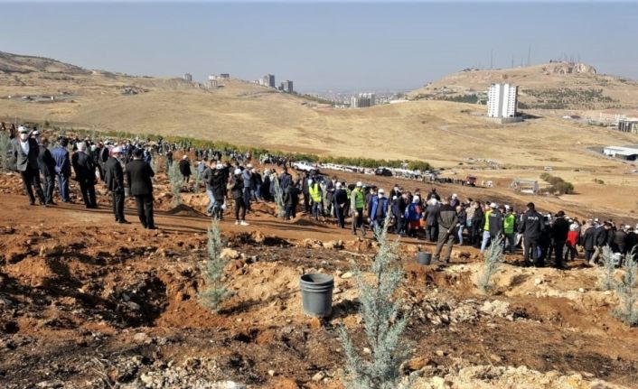 Malatya’da fidan dikimi