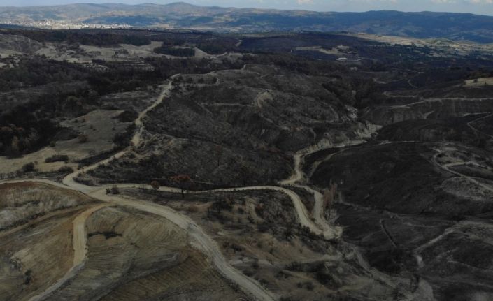 Manisa’da yangın yaraları sarılıyor