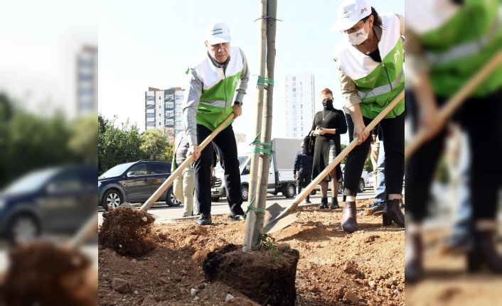 Mersin’de bir yılda 700 bin fidan dikilecek