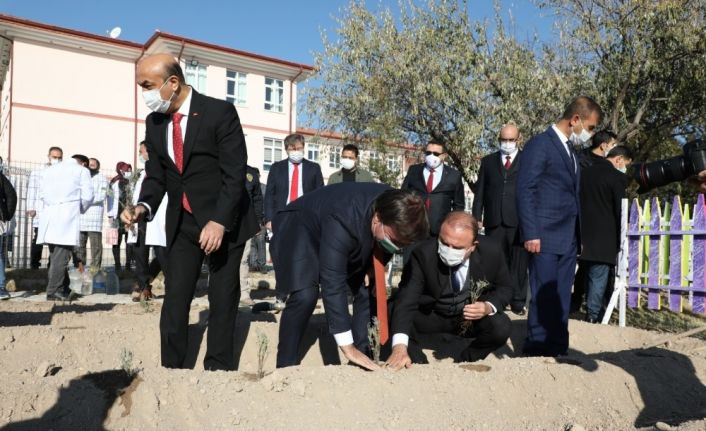 Öğretmen vali, okullarda öğretmenlerin gününü kutlayarak lavanta dikti