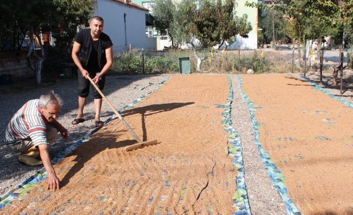 Organik susam ve haşhaş ezmesine talep arttı