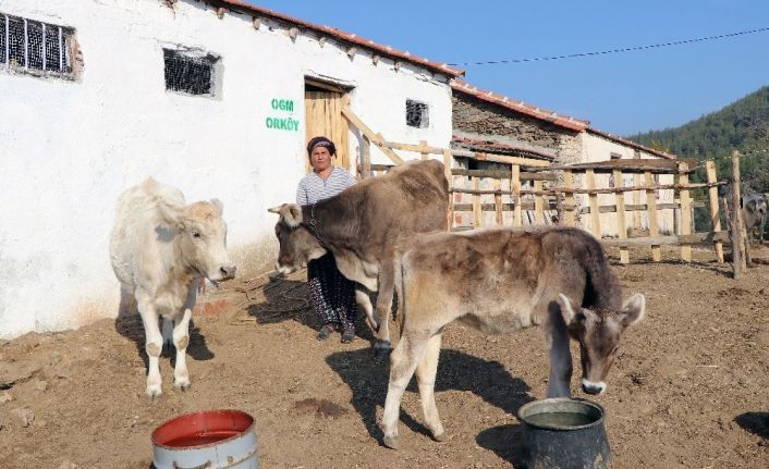 ORKÖY’den Aydın ve Muğla köylüsüne 4,5 milyon TL destek