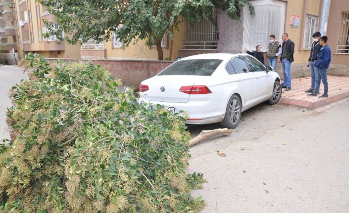 Otomobilin altında kalmaktan son anda kurtuldular