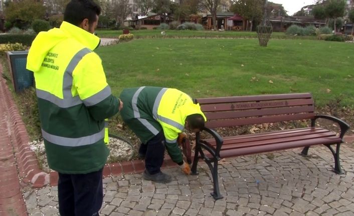 (ÖZEL) Büyükçekmece’de belediyeden bank operasyonu