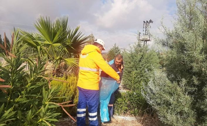 Parklar ve refüjlerde kış bakımı sürüyor