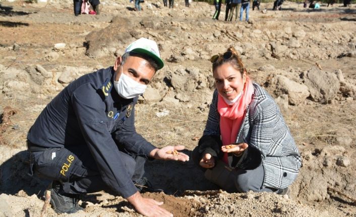 Sarıkamış’ta yaban hayvanları için meyve tohumu ekildi