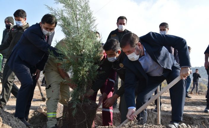 Sındırgı’da 10 fidan toprakla buluştu