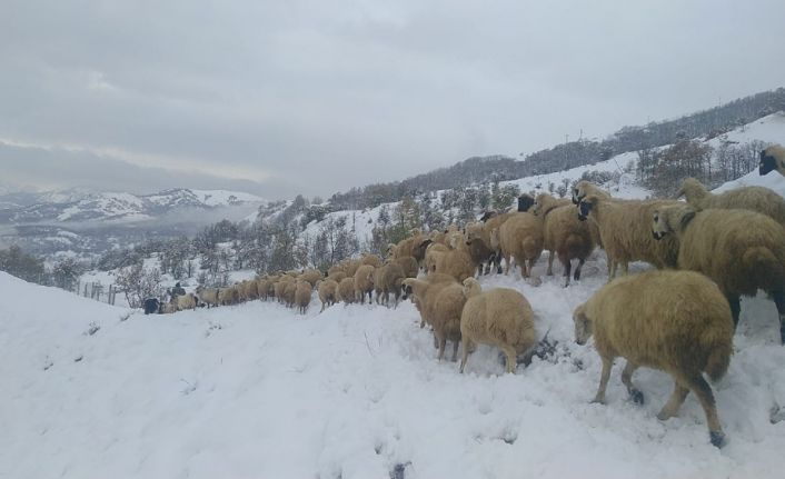 Tunceli’de kar yağışı