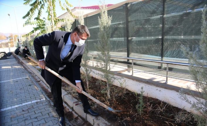 Tunceli’de şehit öğretmenler için fidanlar toprakla buluştu