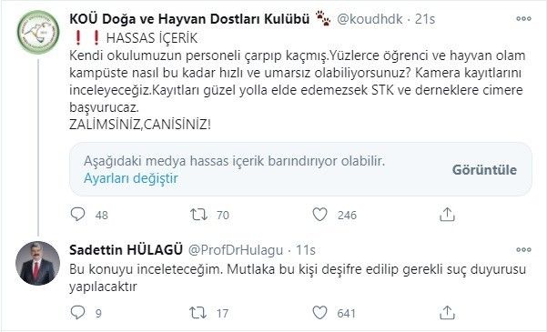 Üniversite personelinin aracıyla ezdiği iddia edilen köpeğin ölümüne öğrencilerden tepki