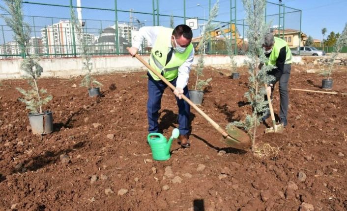 Yeşil Bağlar için fidanlar toprakla buluşturuldu