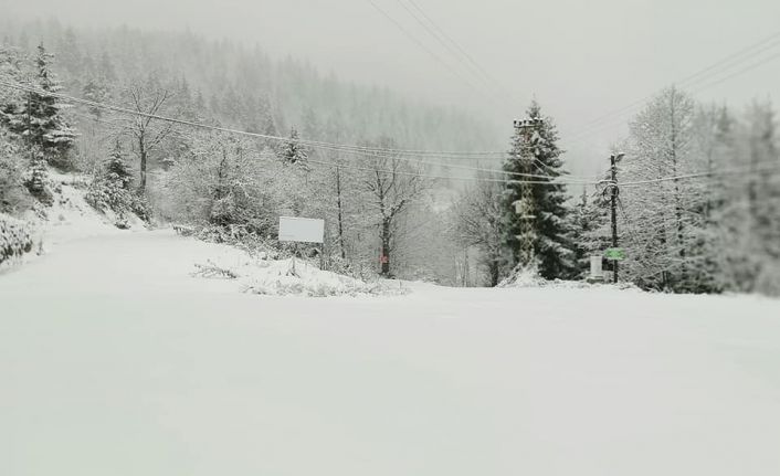 Artvin’de kar yağışı nedeniyle 29 köy yolu ulaşıma kapandı